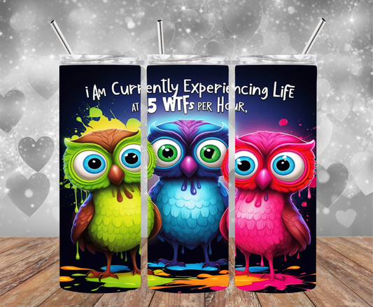 20oz Stainless Steel Double Walled Sublimated Tumbler